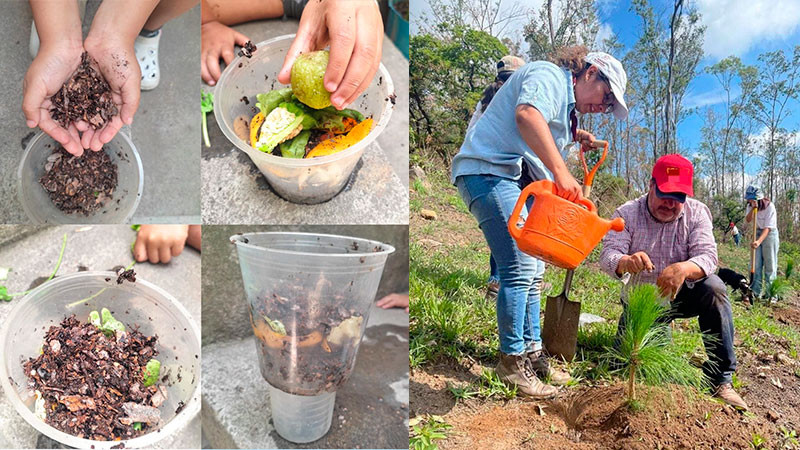 Aprende a elaborar una composta en casa para aprovechar los residuos orgánicos